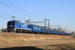 2011.03.05_1.JPG