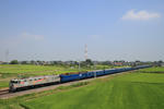 2011.0717_03.JPG