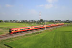 2011.0717_05.JPG