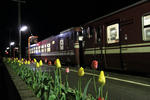2011.05.13_6.JPG