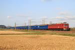 IMG_2945.JPG