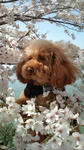 2011.4.10.JPG