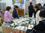P1020677.JPG
