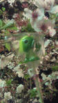 d8fd4670.jpg