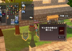 mabinogi_2009_10_04_001.jpg