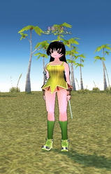 mabinogi_2009_12_02_001.jpg