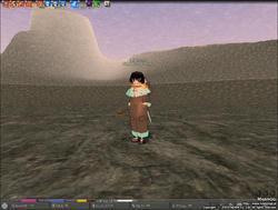 mabinogi_2009_12_20_001.jpg