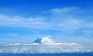 blog100721z2.jpg