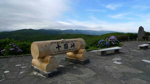 blog100721z5.jpg