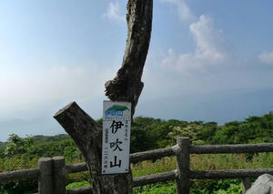 blog100822d.jpg