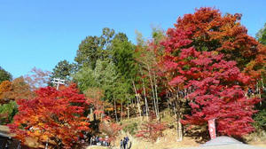 blog101121ya1.jpg