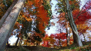 blog101121ya3.jpg
