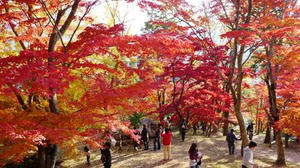 blog101121ya6.jpg