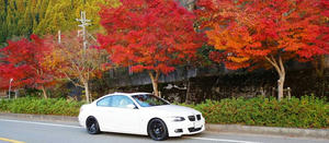 blog101121ya10.jpg