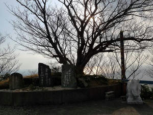 blog110109-3.jpg