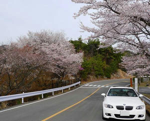 blog110417kyo-1.jpg