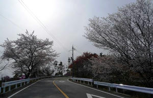 blog110417kyo-3.jpg