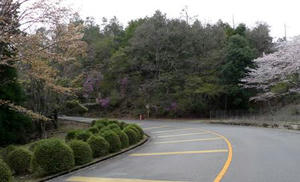 blog110417kyo-4.jpg