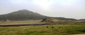 blog110501-11.jpg