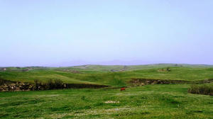 blog110501-16.jpg