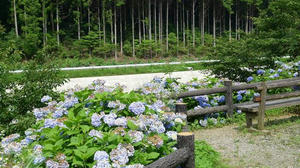 blog110703-03.jpg