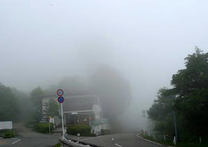 blog110703-09.jpg