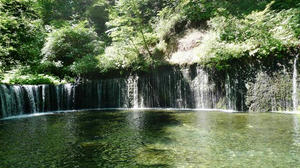 blog1107025-02.jpg