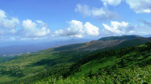 blog1107030-11.jpg