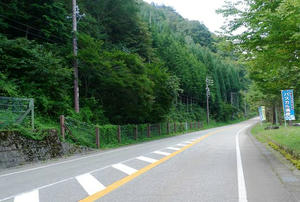 blog110911-5.jpg