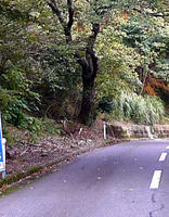 blog111007-10.jpg