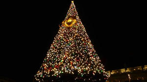 blog111203-tds9.jpg