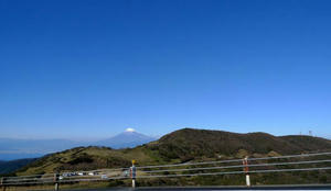 blog111211-izu2.jpg