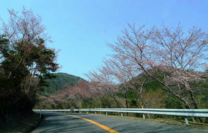 blog120408hiroshima02.jpg