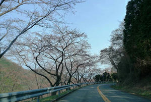 blog120408hiroshima07.jpg