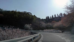blog120408hiroshima09.jpg