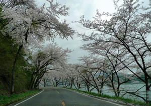 blog120421-biwa03.jpg