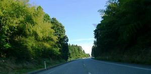 blog120625noto10.jpg