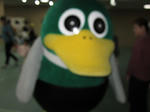 b80442a9.jpeg