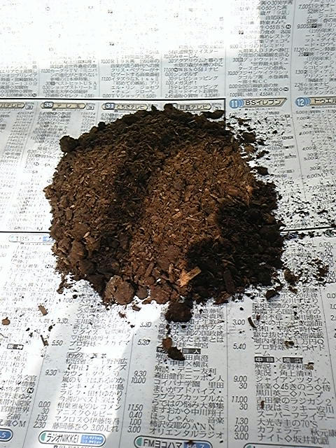 牛糞