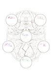 ベース線画
