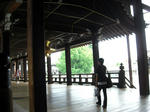 CIMG0973.jpg