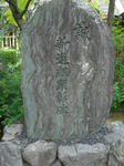 CIMG0987.jpg