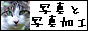 357b3419.gif