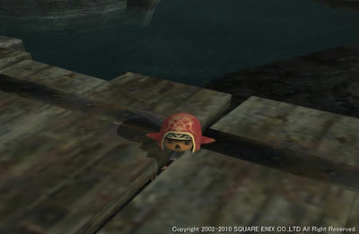 20100307-2310.jpg
