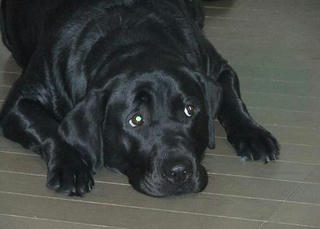 2009_10280026.JPG