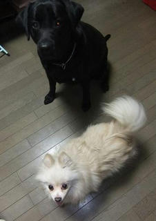 2009_10300005.JPG