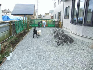 2009_10310017.JPG