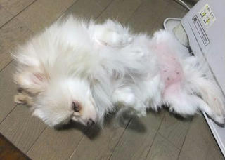 ZZZ.JPG