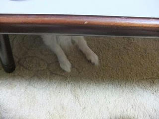 2009_11250039.JPG