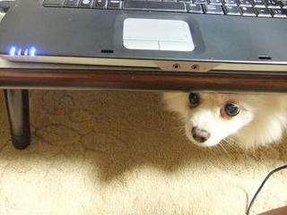 2009_11250042.JPG